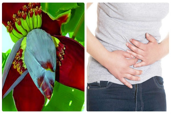 Cách chữa bệnh đau dạ dày bằng hoa chuối