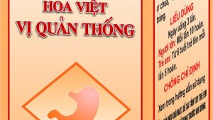 Thuốc Hoa Việt Vị Quản Thống có tốt không, giá bao nhiêu?
